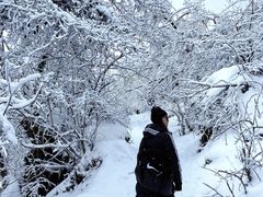 -九峰山