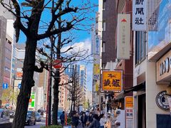 -秋叶原电器街