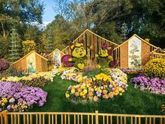 -上海共青森林公园