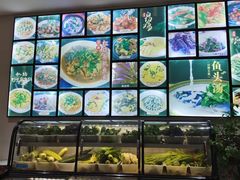 -全乐鱼馆·淳牌有机鱼直营店