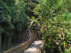 -绍兴古城