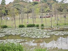-东莞植物园