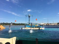 -秦皇岛乐岛海洋王国