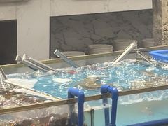 -半岛听涛蒸汽海鲜自助(K11店)