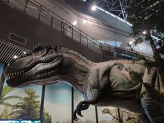 -湖南省地质博物馆