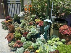 -杨厝六十六农庄农舍(杨厝路店)