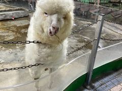 -上海大自然野生昆虫馆(东方明珠·爬宠昆虫探索中心)