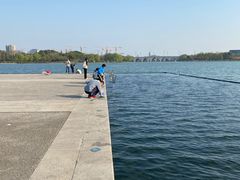 -尚贤河湿地