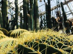 -南山植物园