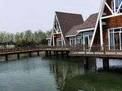 -阳光海岸露营公园