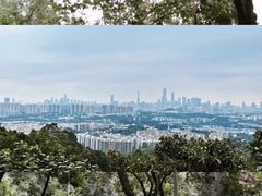 -火炉山森林公园