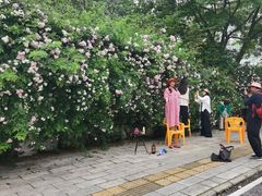-武汉世茂希尔顿酒店·汇·全日餐厅