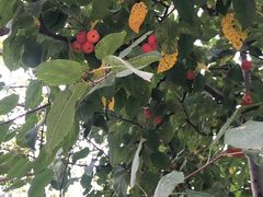 -南通洲际绿博园