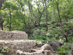 -阳台山自然风景区