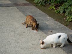 -苏州河梦清园环保主题公园