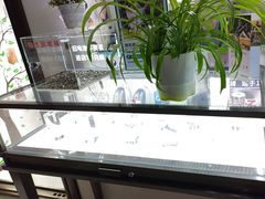 -自然之声助听器·呼吸机(公园路店)