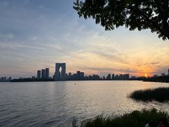 -金鸡湖景区