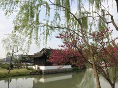 -盆景园(扬州大运河文化旅游度假区)