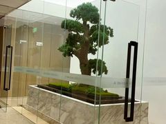 -柏乐口腔医院·舒适化无痛种植牙中心(东盟商务区院)