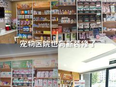 -艾贝尔宠物医院·24H转诊中心·肿瘤猫专科(江宁双龙店)