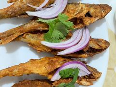 -煲来饱去冷水鱼