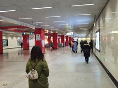 -望京西(地铁站)