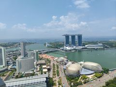 -新加坡瑞士史丹福酒店