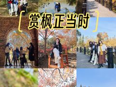 -田野绿世界