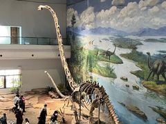 -自贡恐龙博物馆