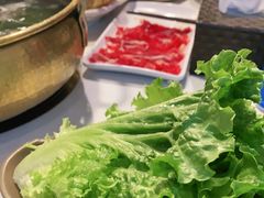 -食潮汕头鲜牛馆(望京保利店)