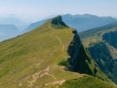 -玫瑰花园自助烤肉(朝阳北路店)