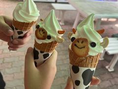 -神户市立六甲山牧场