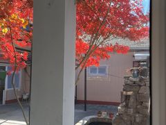 -遇见小院—虹鳟鱼•农家菜(怀柔店)