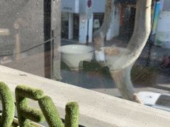 -笃笃笃糖粥(十全街店)