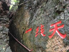 -天女山森林公园
