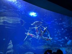 -多彩贵州城极地海洋世界