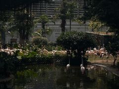 -九龙公园