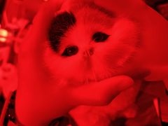 -伽利略剧本探案馆(国贸店)