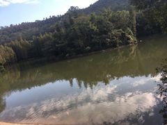 -滴水岩森林公园