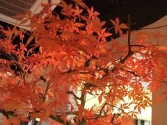 -荷塘秋月·本帮江浙菜(国权路店)