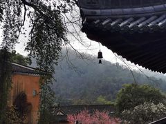 -天台山赤城山景区