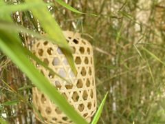 -贰醒·私房小院烧烤 (太古里店)