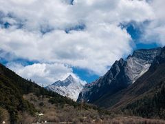 -稻城亚丁景区-冲古草甸