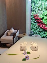 -VELEE·SPA高定疗愈会所