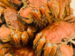 -王宝和酒家(黄浦店)