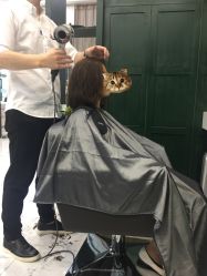 -悦Salon发型设计