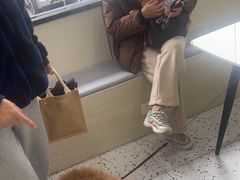 -心语宠物医院·急重症转诊中心·瑞辰华诺(南青路店)