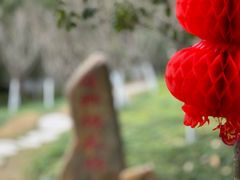 -神光山国家森林公园