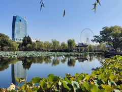 -无锡蠡湖国家湿地公园-蠡园