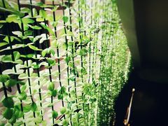 -大王油茶(磁器口店)